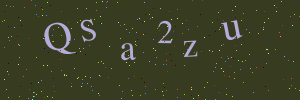 Validation image